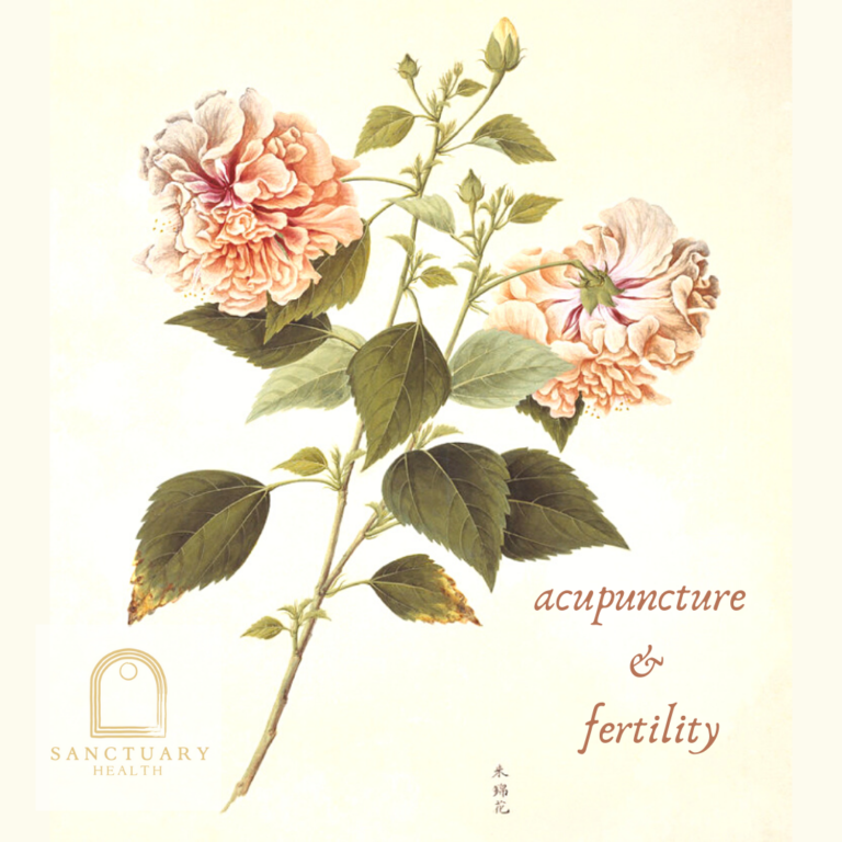Acupuncture for fertility and IVF