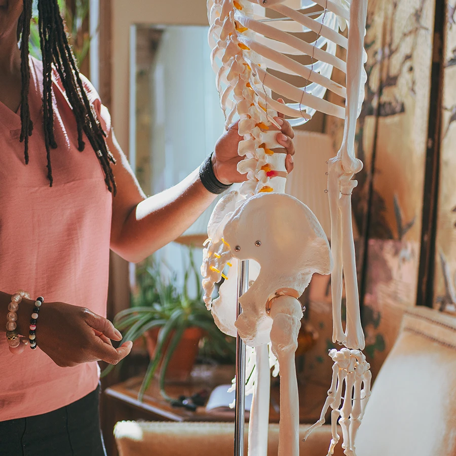 Chiropractic practitioner demonstrating spinal alignment using an anatomical skeleton model.
